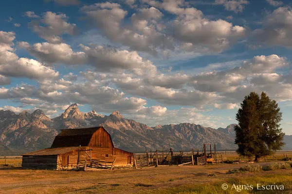 Grange mormone à Grand Teton National Park