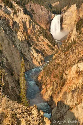 Grand canyon of the Yellowstone
