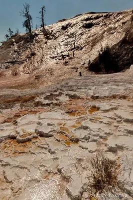 Mammoth hot springs, Parc du Yellowstone