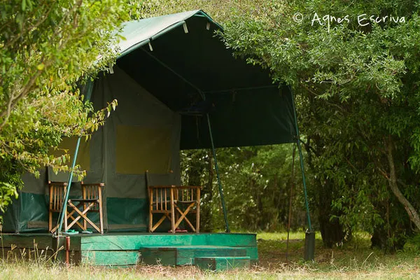 Camp de Melting pot safaris - Masaï Mara, Kenya - février 2011