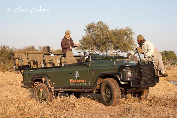 Timbavati  - Afrique du Sud, juin 2011