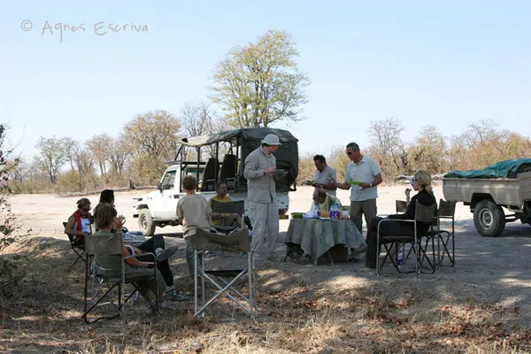 Pique-nique - Botswana août 2007