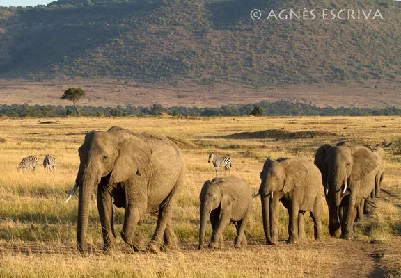 La file indienne - Kenya août 2010