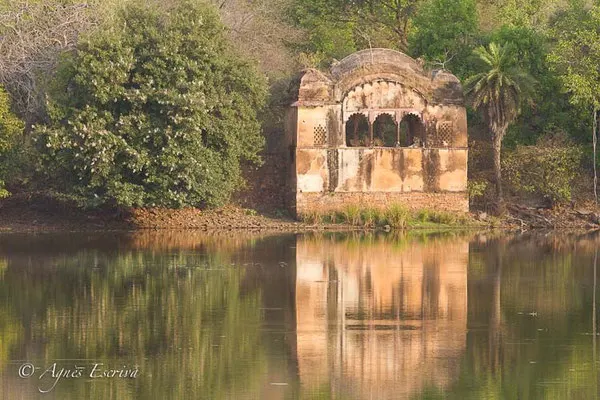 Un prince en son palais
