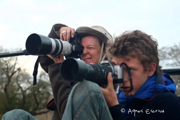 Sabi Sand - Afrique du Sud août 2006