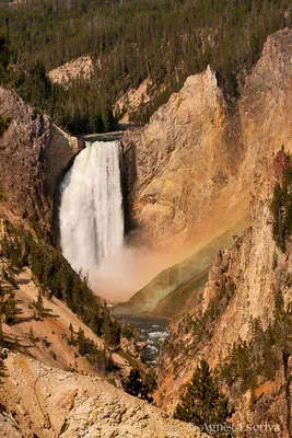 Grand canyon of the Yellowstone