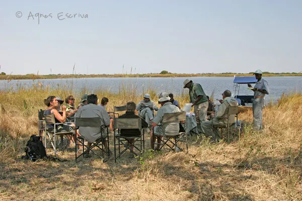 Pique-nique et ballade en bateau dans le delta de l'Okavango - Botswana août 2007