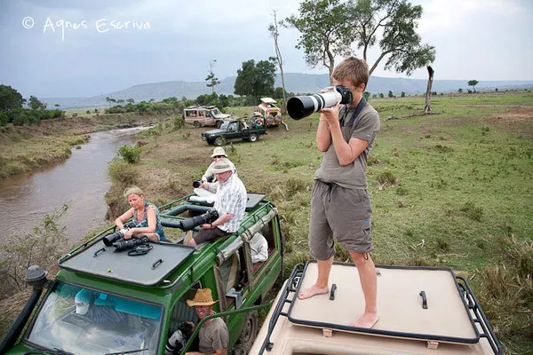 En attendant un crossing - Masaï Mara, Kenya, août 2011