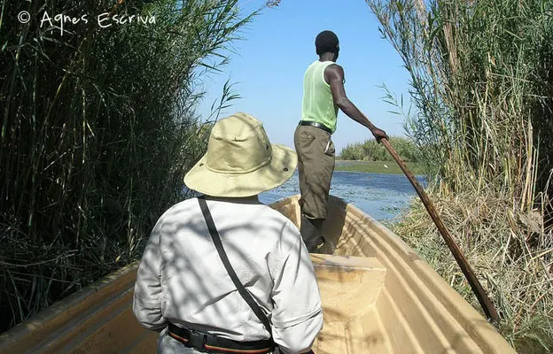 Marais de Bangweulu - Zambie mai 2006