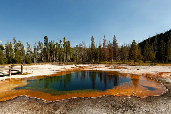 Biscuit Basin, Parc du Yellowstone