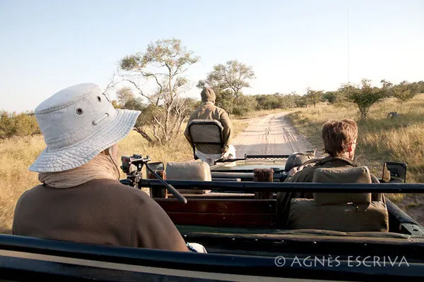 Djuma - Afrique du Sud, mai 2010