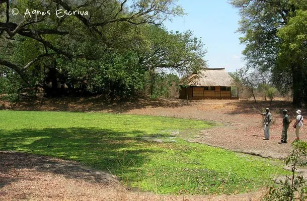 Camp de Bilimungwe - South Luangwa - Zambie nov 2005