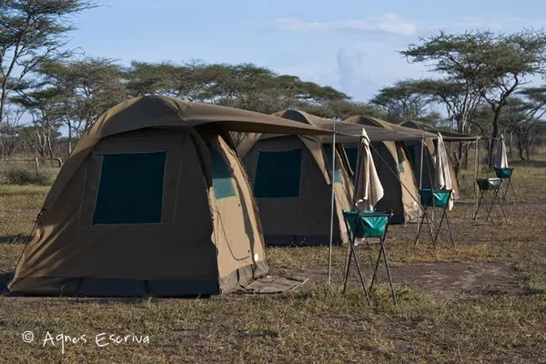 Campement à Ndutu  - Tanzanie février 2008