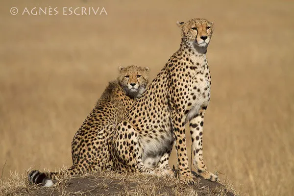 Mère et fille - Kenya août 2010