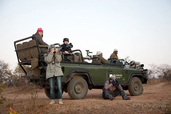 Timbavati - Afrique du Sud, juillet 2015