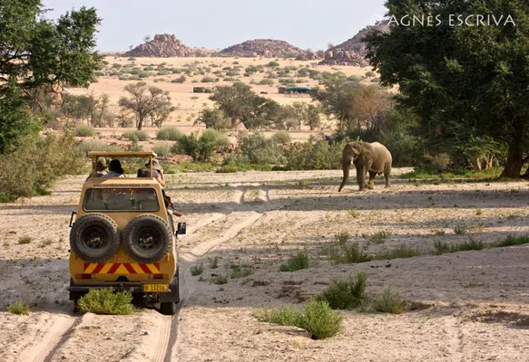 Damaraland, Namibie - août 2008