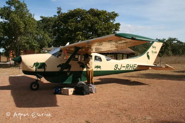 Vol Bangweulu - South Luangwa - Zambie mai 2006