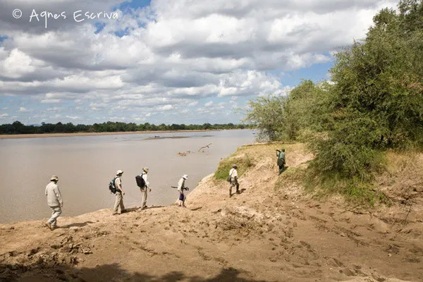 Walking safari à South Luangwa - Zambie mai 2009