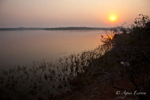 Tadoba-Andhari