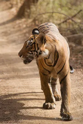 On the move