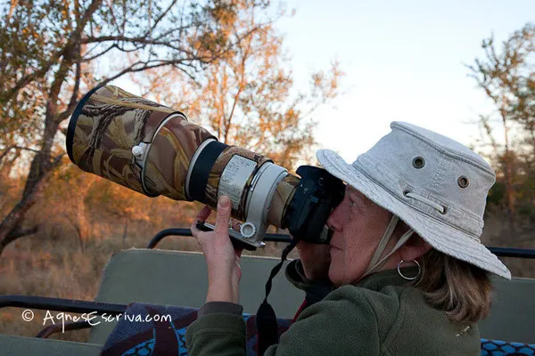 Sabi Sands - Afrique du Sud, juin 2011