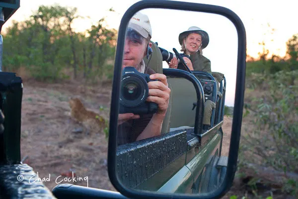 En attend que le léo bouge... - Timbavati  - Afrique du Sud, juin 2011