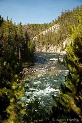 Yellowstone river, Grand canyon of the Yellowstone