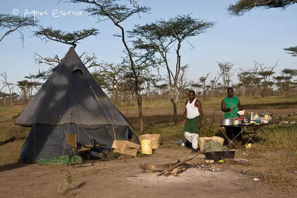 Cuisine du campement à Ndutu  - Tanzanie février 2008