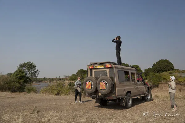 Mara - Kenya été 2016