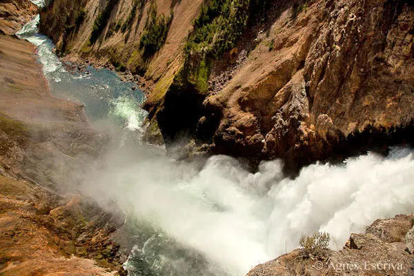 Grand canyon of the Yellowstone