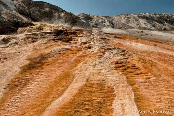 Mammoth hot springs, Parc du Yellowstone