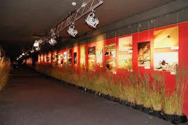 Exposition Afrique Terre de couleurs