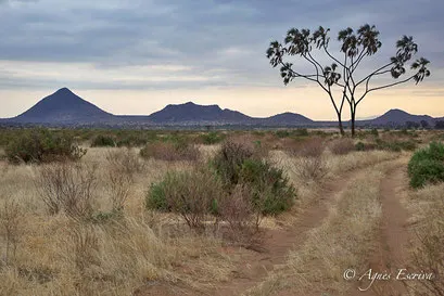 Samburu juillet 2012