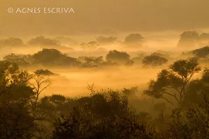 Estampe africaine - sélection finale Concours Canon 2010 de Namur et 8ème prix catégorie Paysage au concours Terre Sauvage 2010 - Afrique du Sud mai 2010
