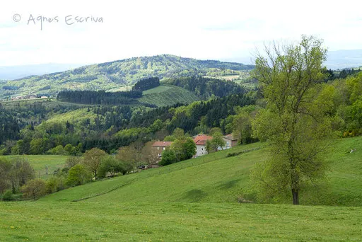 Printemps 2011