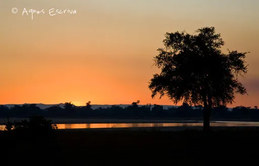 La rivière Luangwa au coucher du soleil 3