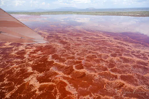 Lac Magadi