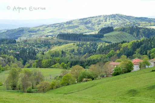 Printemps 2011