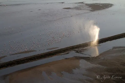 Lac Magadi