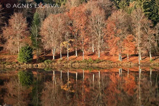 Vernet la Varenne - automne 2010