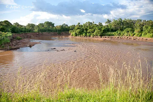 La rivière Mara