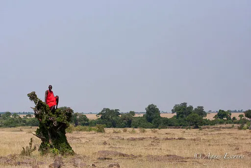 Gardien du camp de Melting Pot Safaris