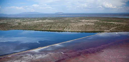 Lac Magadi