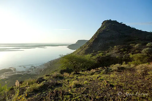 Lac Magadi