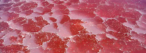 Lac Magadi