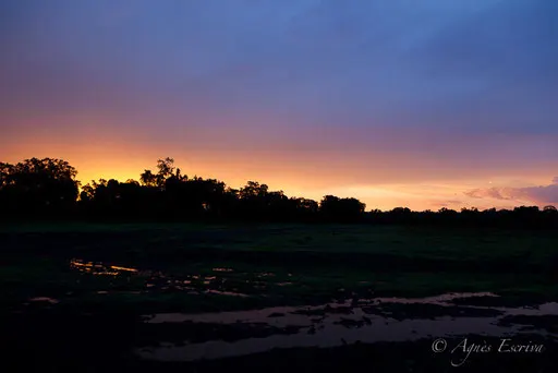 Coucher de soleil