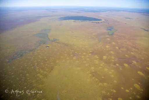 Plaine de Bangweulu