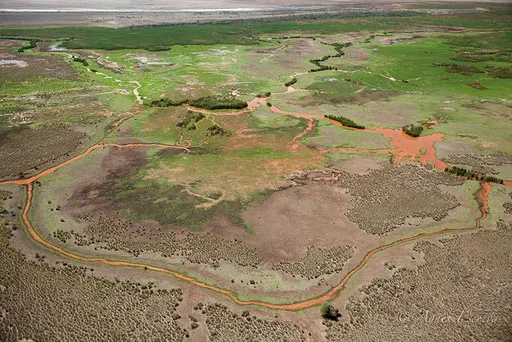 Rivière Ewaso Ngiro