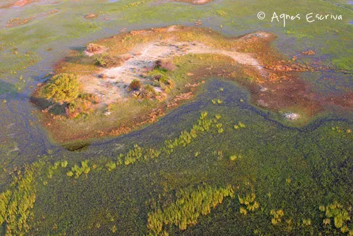 Delta de l'Okavango