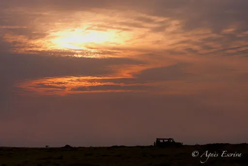 4x4 dans la lumière du matin